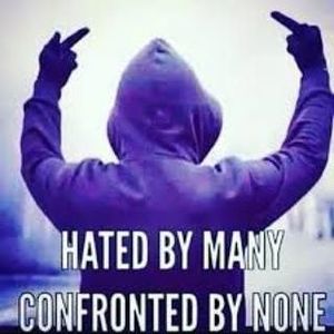 Meet your Posher, Owen